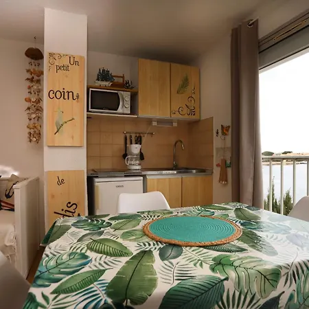 St Cyprien Proche De La Marina Apartment